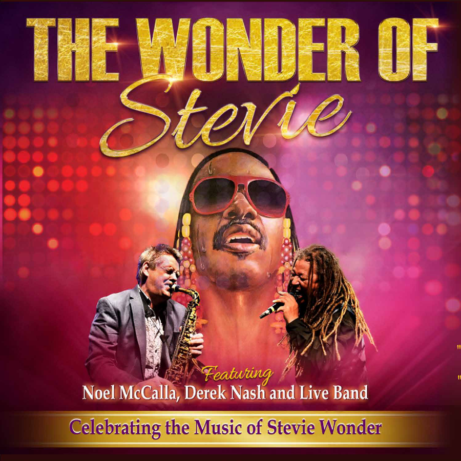 The Wonder of Stevie