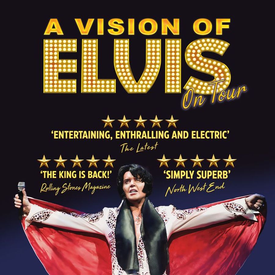 A Vision of Elvis