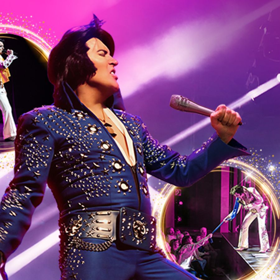 A Vision of Elvis