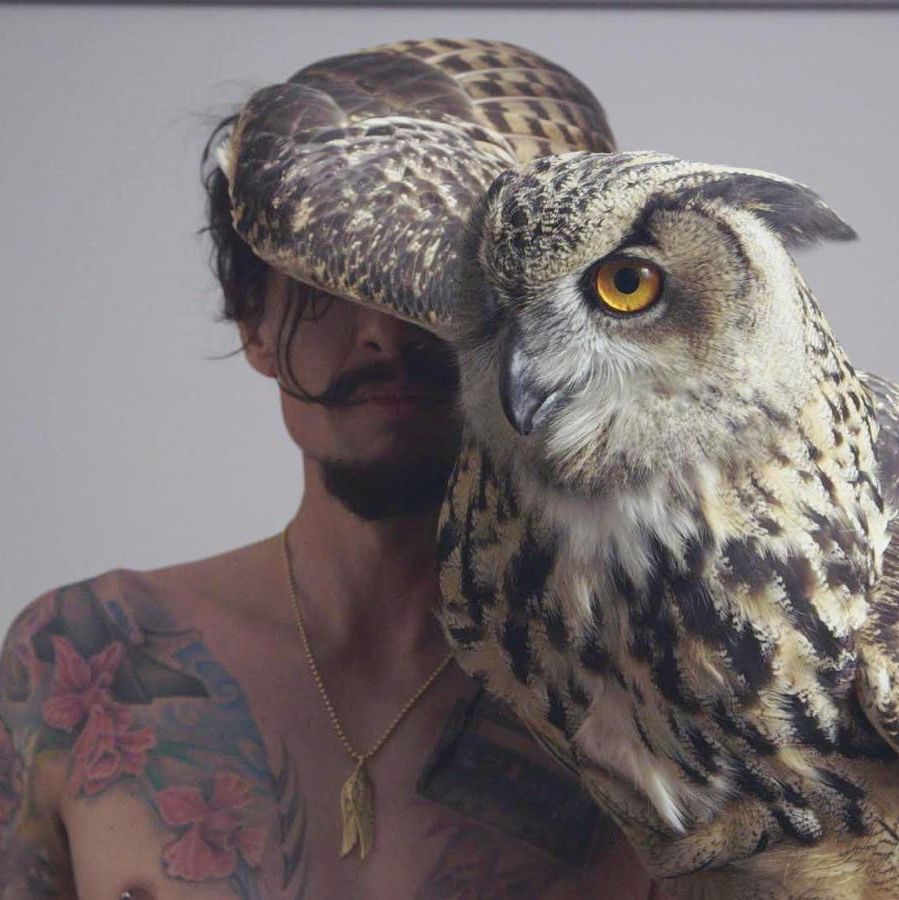 Justin Hawkins Rides Again